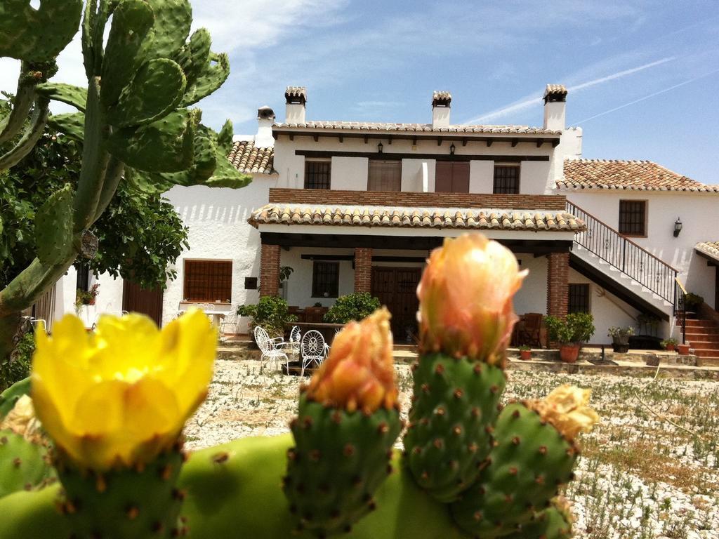 Belvilla By Oyo Cortijo Las Monjas Periana エクステリア 写真